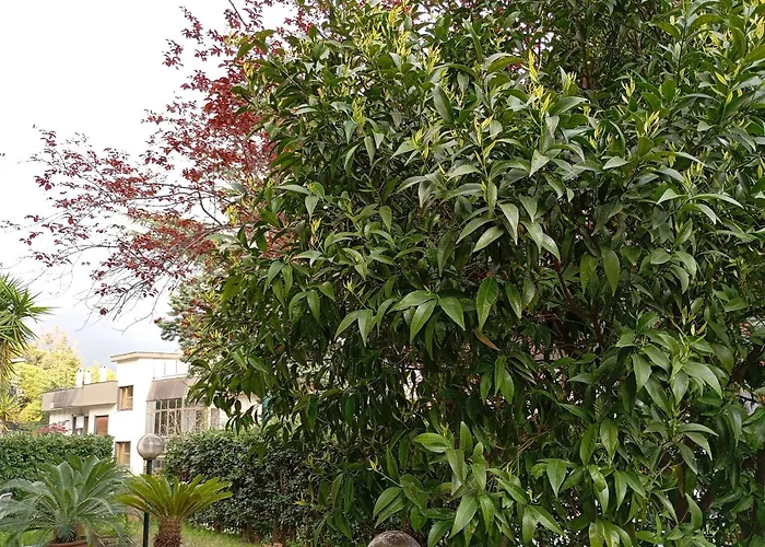 B&B Casa di Toto Salerno